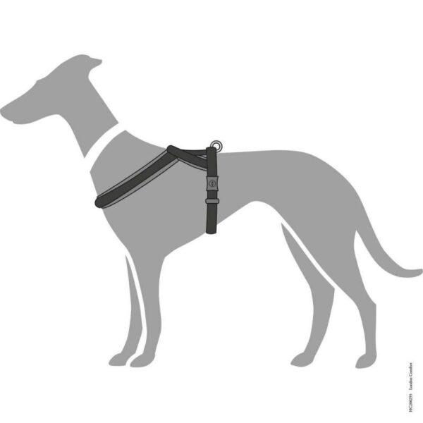 HUNTER Hám London Comfort - Image 12