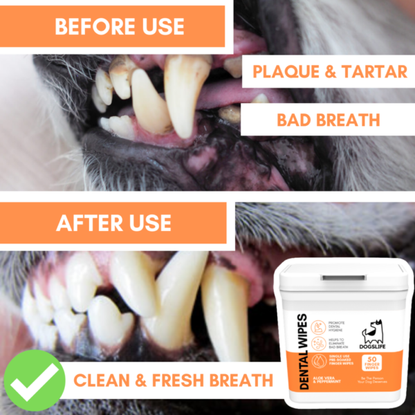 OurDogsLife Fogtisztító kendő Dental Wipes kutyáknak - Image 2