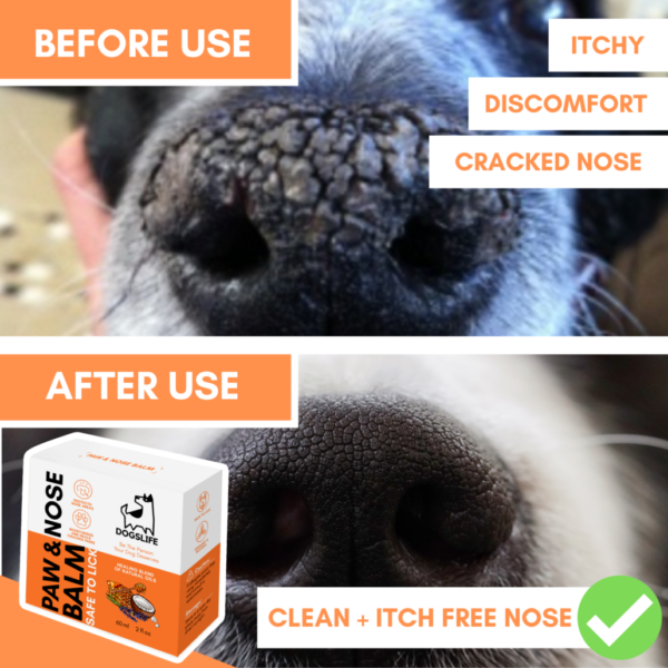 OurDogsLife Mancsápoló krém kutyáknak - Image 3