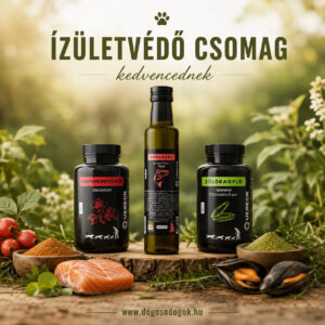 Quebeck ízületvédő csomag