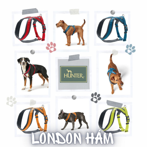 HUNTER Hám London Comfort