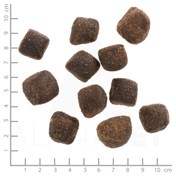 Wolfsblut Green Valley Squashies - bárány & lazac burgonyával 300g - Image 3