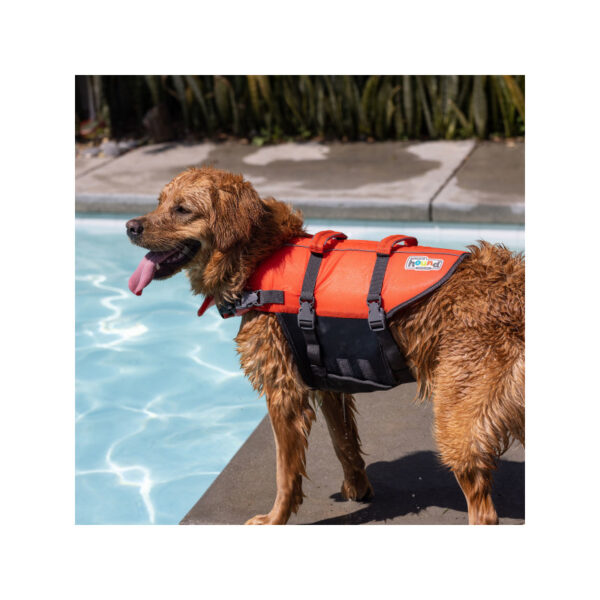 Outward Hound Granby Splash úszómellény - Image 2