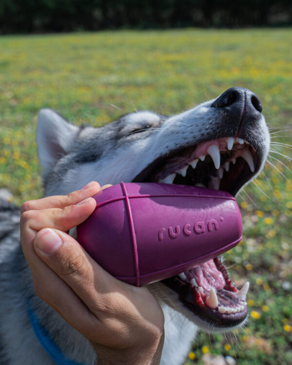 RUCAN CONIC PURPLE - Image 16