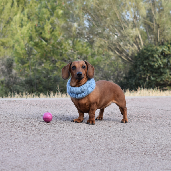 RUCAN DOG BALL PURPLE - Image 7