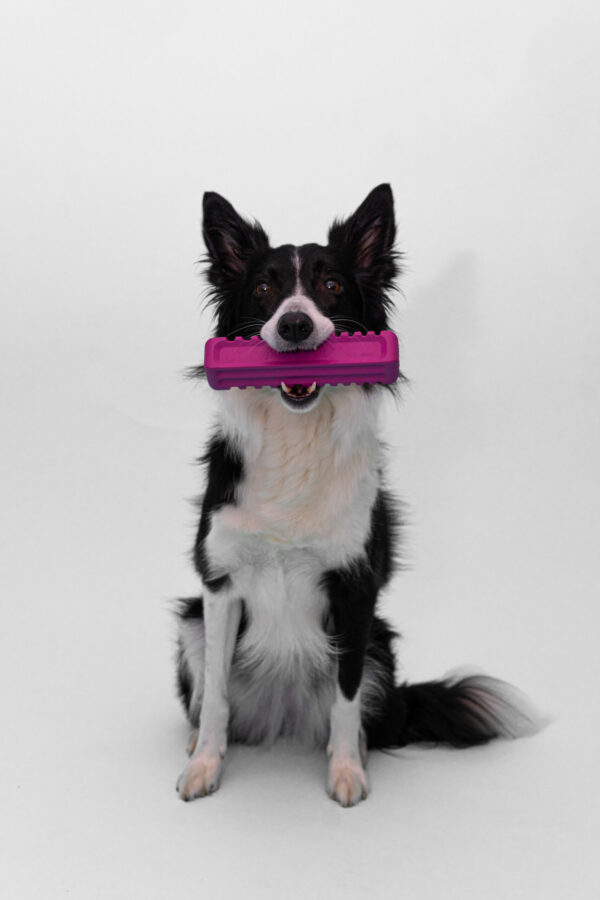 RUCAN STICK FIVE PURPLE - Image 5