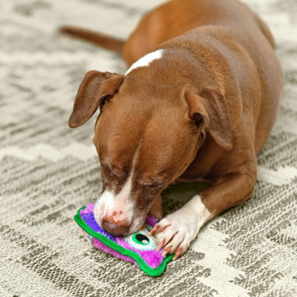 Outward Hound Invincibles Mini Plüss Bagoly - Image 6