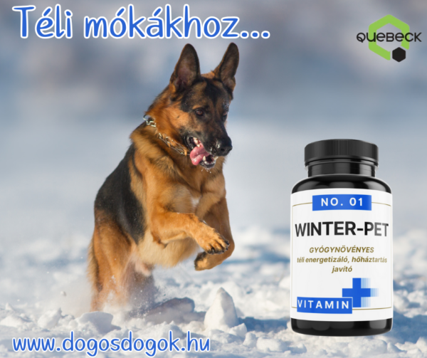 QUEBECK WINTER-PET - a téli táplálékkiegészítő - Image 3