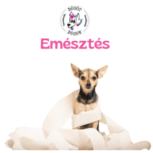Emésztés