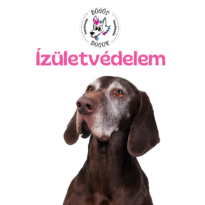 Ízületvédelem