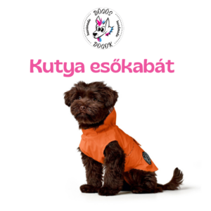 Kutya Esőkabát