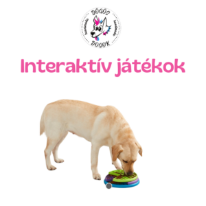 Interaktív játékok