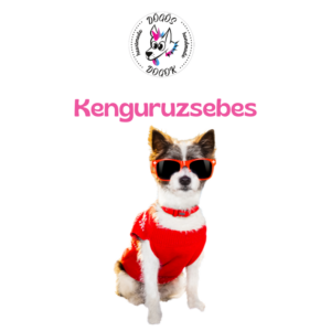 Kenguruzsebes