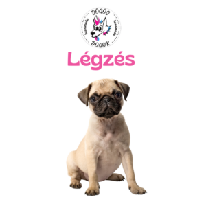 Légzés