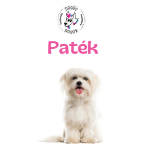 Paték