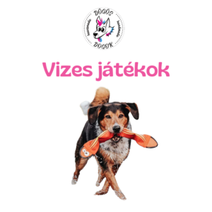 Vizes játékok