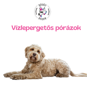 Vízlepergetős pórázok