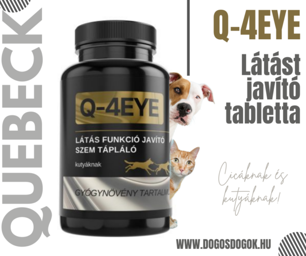 QUEBECK Q-4EYE látást javító tabletta - Image 2