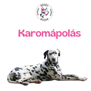 Karomápolás