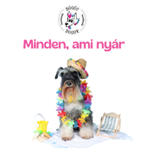Minden, ami nyár