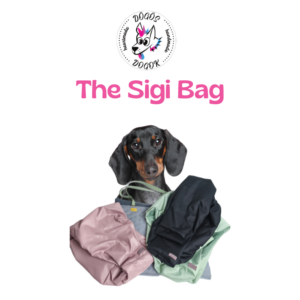 The Sigi Bag