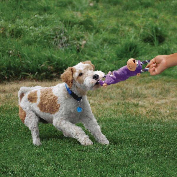 KONG® Tugger Knots® Béka 38 cm - Image 3