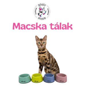 Macska tálak