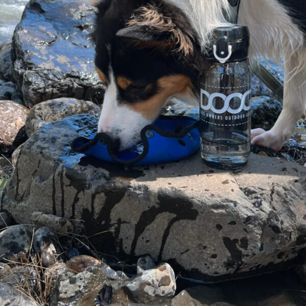 Doog 3 in 1 ivóflakon - Image 7