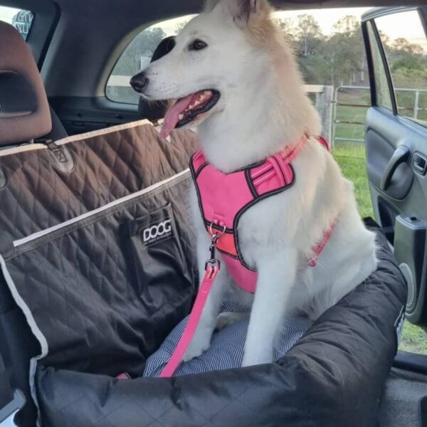 Doog Car Seat - Large - Image 4