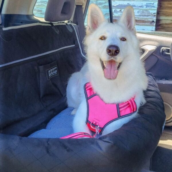 Doog Car Seat - Large - Image 3