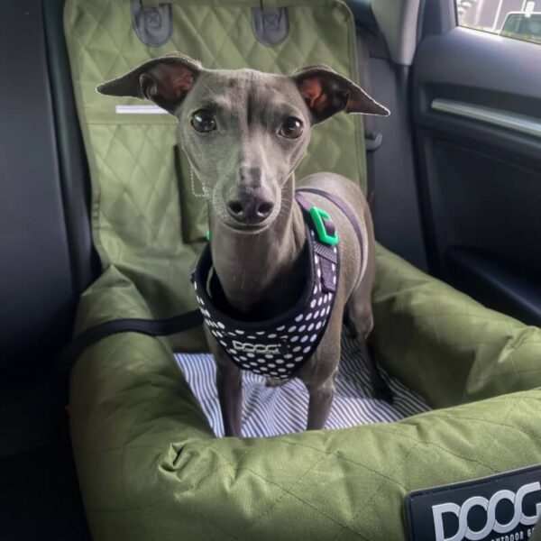 Doog Car Seat - Small - Image 10