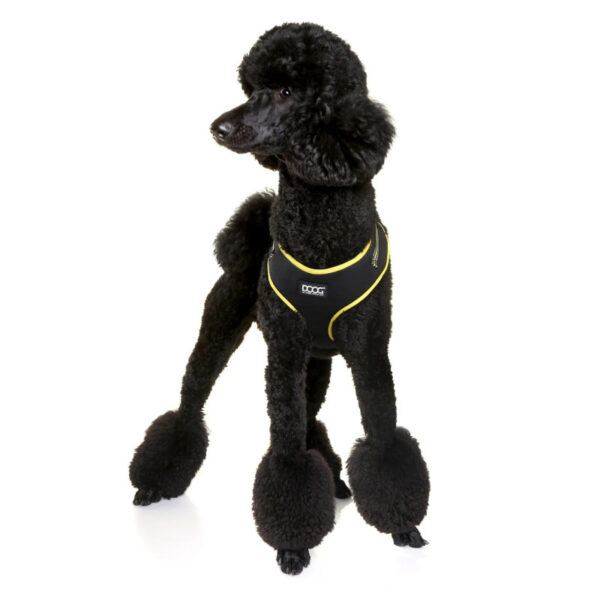 Doog Neoflex hám - Image 7