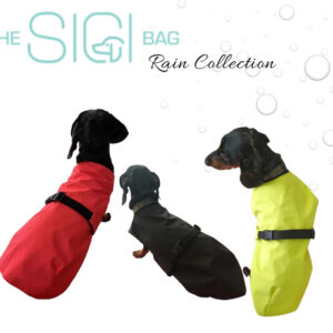 THE SIGI BAG – Kutya esőkabát (csatos fazon)