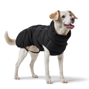 Hunter PAXSON kutyakabát