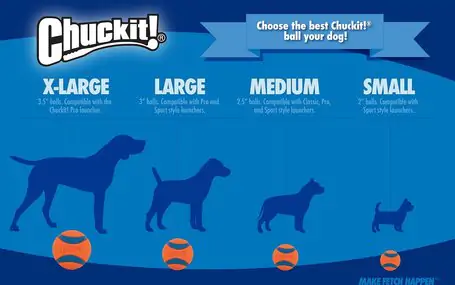 CHUCKIT! Air Fetch Labda - Image 6