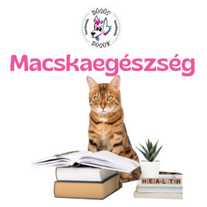 Macskaegészség