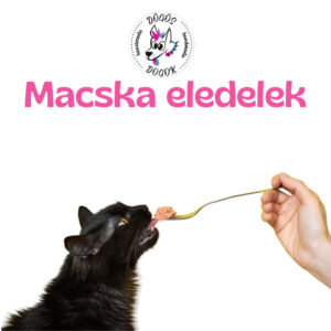 Macska eledel