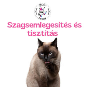 Szagsemlegesítés és tisztítás