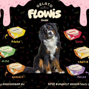 Gosbi Flowis Gelato kutyafagyi