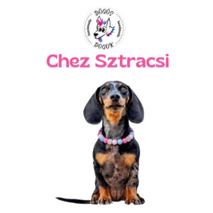 Chez Sztracsi