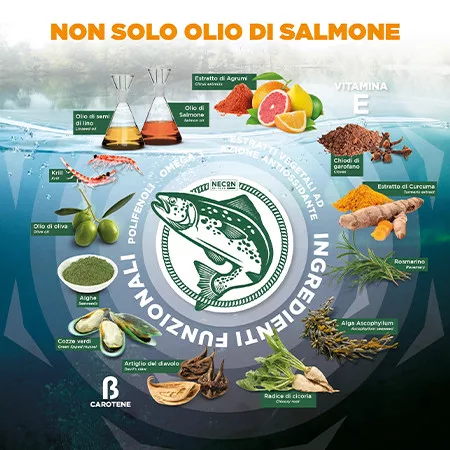 Salmoil-3 100% Vegan – Növényi Omega-3 olaj - Image 2