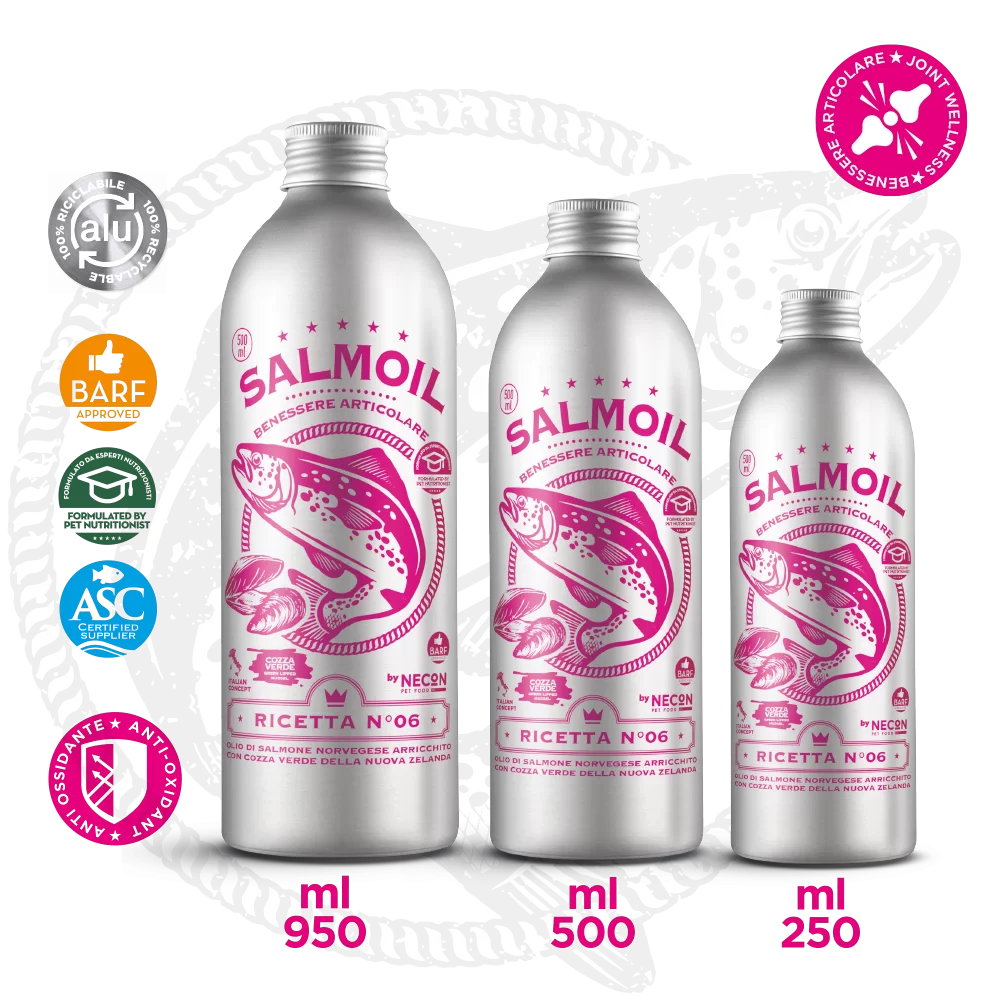 Salmoil-6 Joint Wellness – Ízülettámogató lazacolaj - Image 2