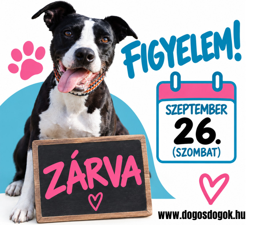 Figyelem! Szeptember 26-án, szombaton üzletünk zárva tart.
