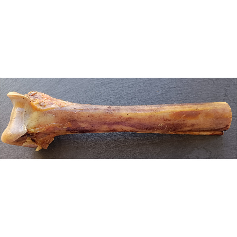 Teomann szárított strucc felezett velős lábszárcsont – 25–28 cm - Image 2