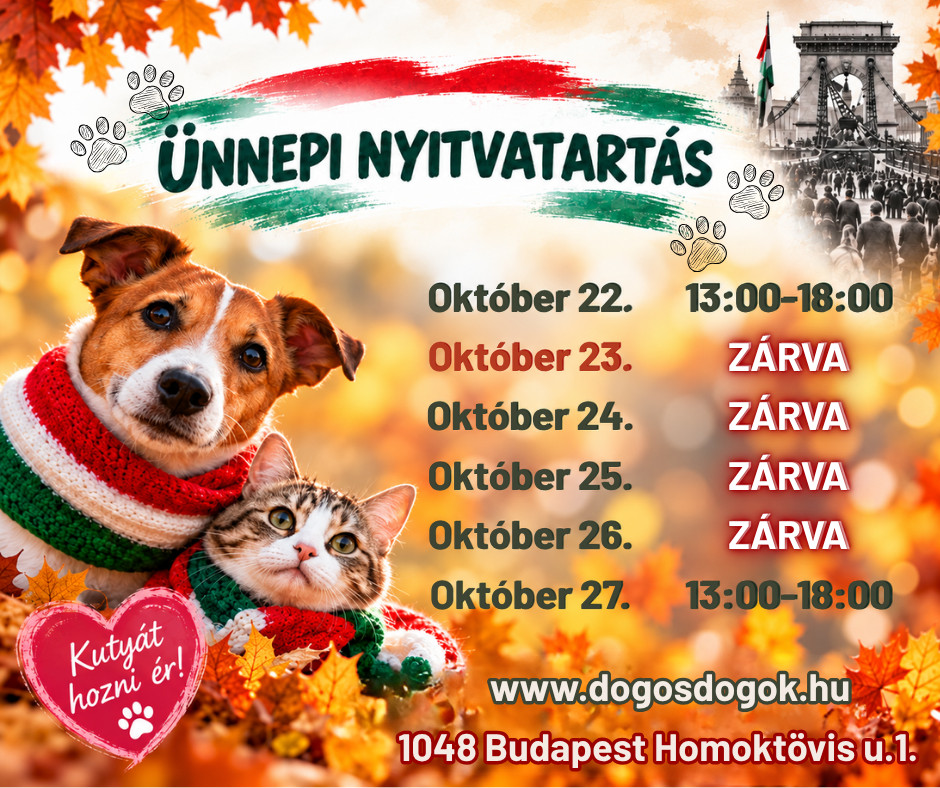 Október 23-i ünnepi tájékoztató